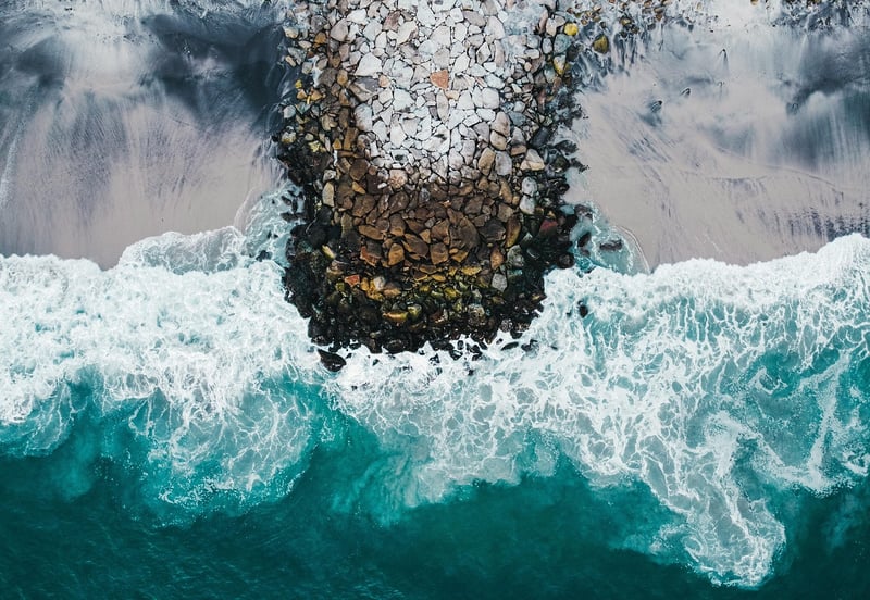 Captivating Shots