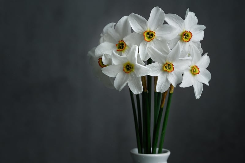 Magical Centerpieces